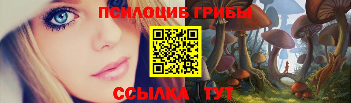 Псилоцибиновые грибы GOLDEN TEACHER  где найти   Копейск  Вход с VPN 